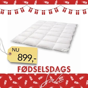 Nordic Heaven Gåsedunsdyne – Model Comfort (200 x 200 cm)